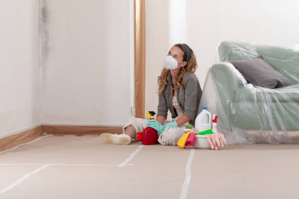 Reliable Black Mold Remediation contractor in Tyrone, GA by Mold Remediation HQ